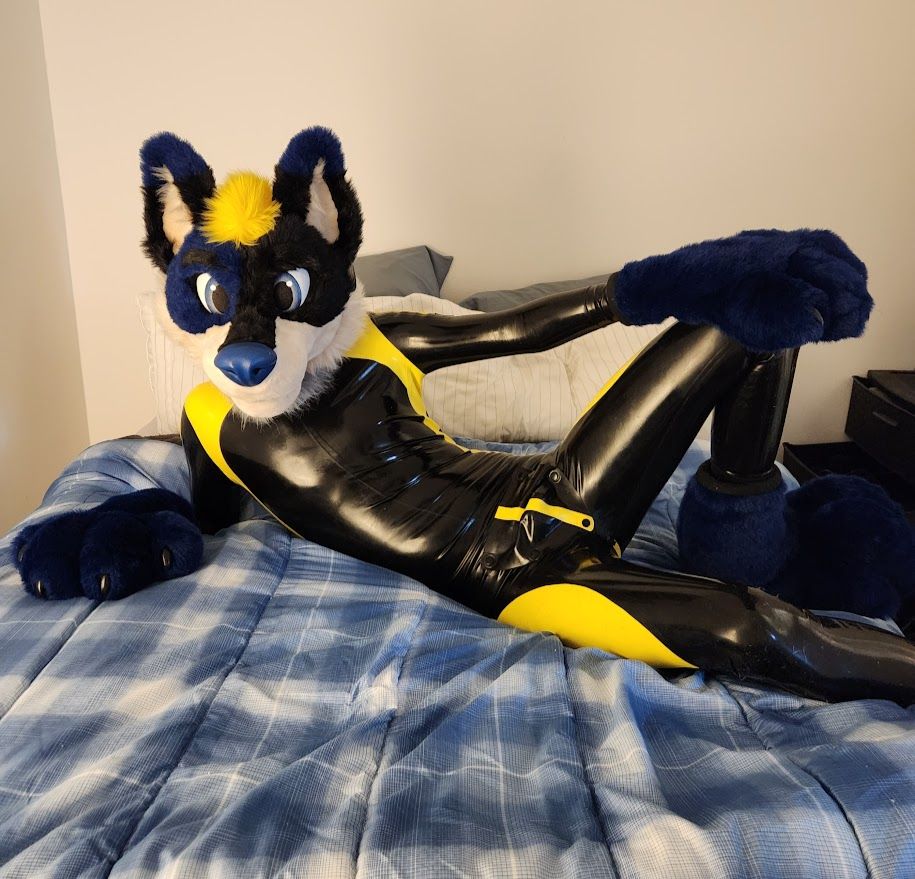 On my knees on my bed, wearing a rubber catsuit and Banana fursuit head and paws.