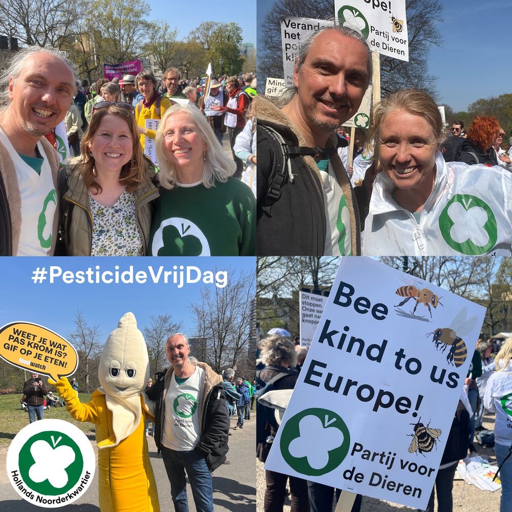 Foto's van tijdens de demonstratie met verschillende PvdD leden, iemand in een bananen pak en de tekst Weet je wat pas krom is? Gif op je eten! en protestbord met de tekst Bee kind to us Europe, het logo van de PvdD en tekeningen van bij, wesp en zweefvlieg