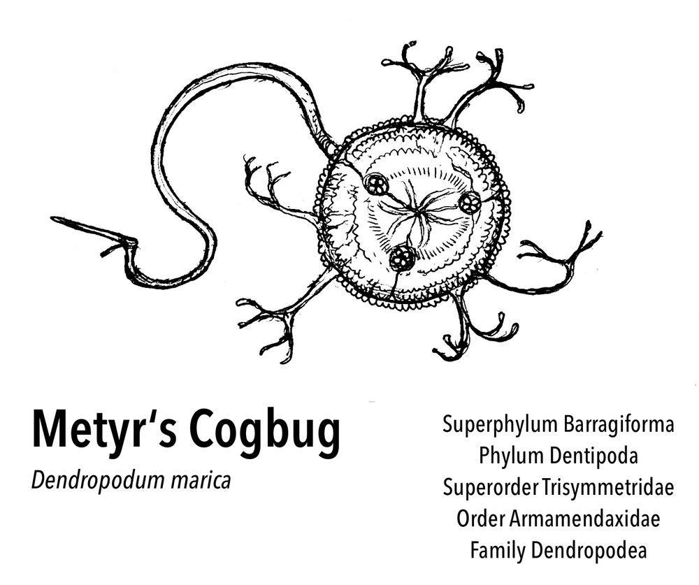 An illustration of a creature called a Metyr‘s Cogbug. It is a trilateral organism, disk-shaped with three eyes (with quadrifoil pupils) and six tree-like legs. One long tendril with a spear on it extends from the main body.