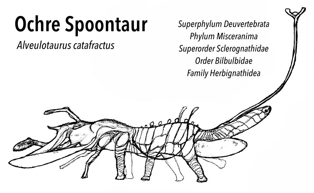 An illustration of a creature called an ochre spoontaur. It is a large quadrupedal herbivore, with a big spoon-like beak at the front. Its body is covered in rectangular plates and its tail is split in two- the reproductive organs on the upper one as long as the main body.