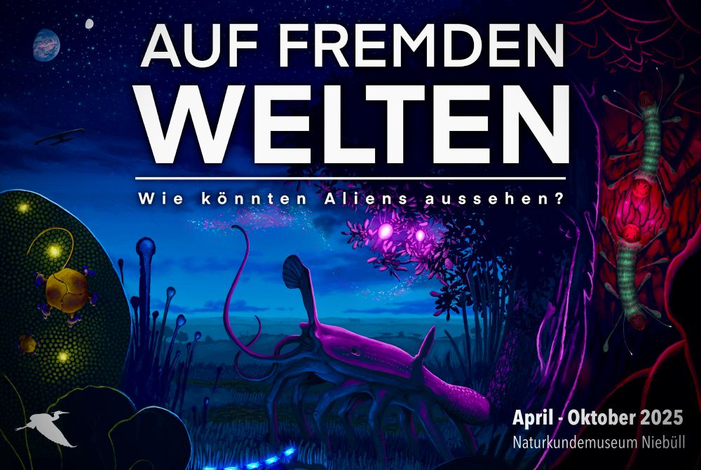 A large banner. The text „On distant worlds - how could aliens look like?“ is centrally at the top. On the bottom right, „April - October 2025, Natural History Museum Niebüll“ is written. The banner depicts a phtanumian scene at night. In the middle, an eight-legged deuvertebrate probes the air. On the left, a couple cogbugs feed on a glowmite nest. On the right, two pseudamphibians engage in a mating ritual.