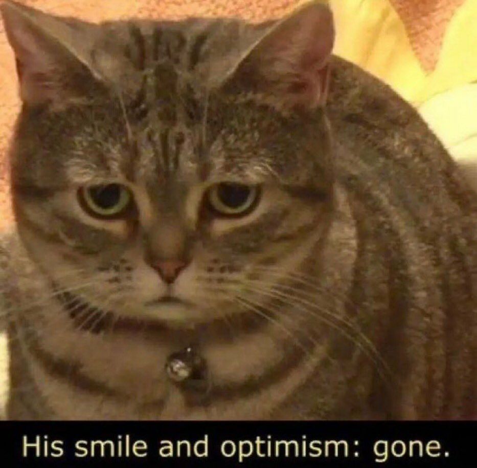 A cat looks sad, melancholy set deep into his face. At the bottom, the text describes this creature.

"His smile and optimism: gone."