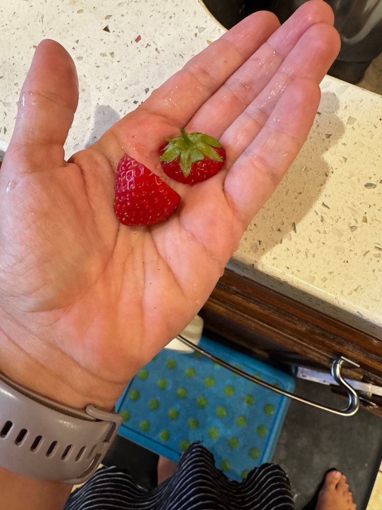 A cut strawberry in an open palm 
