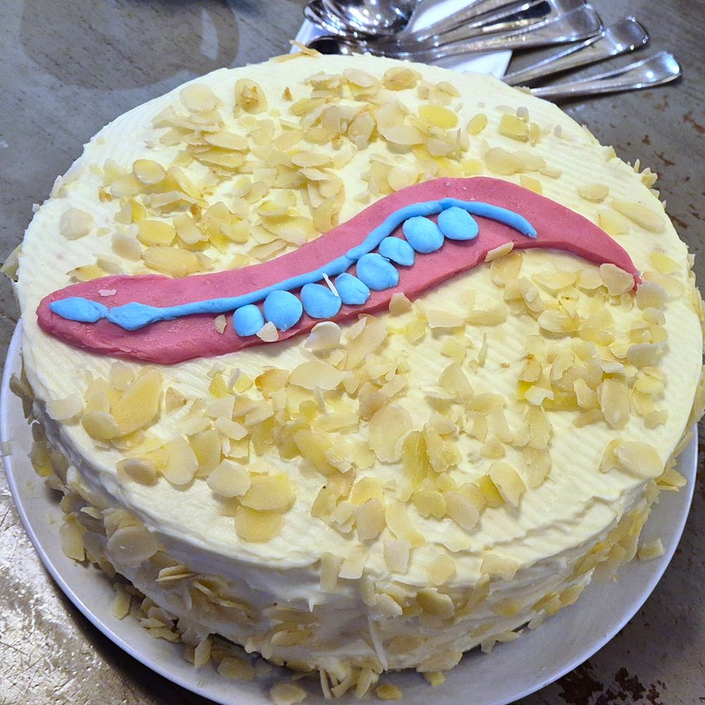 A white vanilla cake covered in sliced almonds. On top There is a pink gravid hermaphrodite with.  In blue There are extra details including pharynx, gut, and embryos.