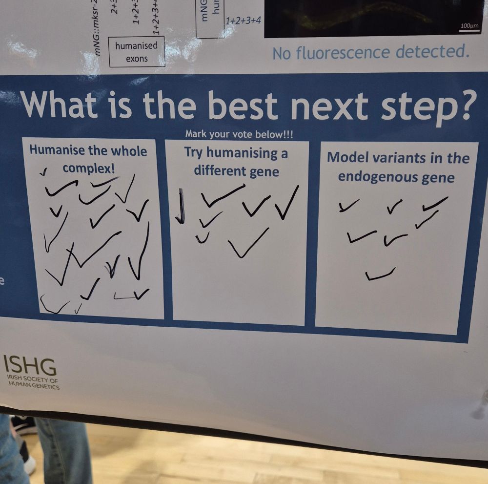 A poster that has a spot where people could vote. It says what is the next best step? 

Humanise the whole complex 18 votes
Try a different gene 7 votes 
Use endogenous gene 7 votes