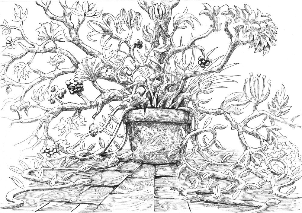 black and white pen and ink drawing. A nonsensical plant grows outward from a pot