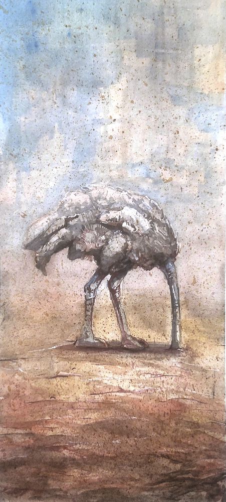 an ostritch stands in the desert.  It has lodged its head into the sand.