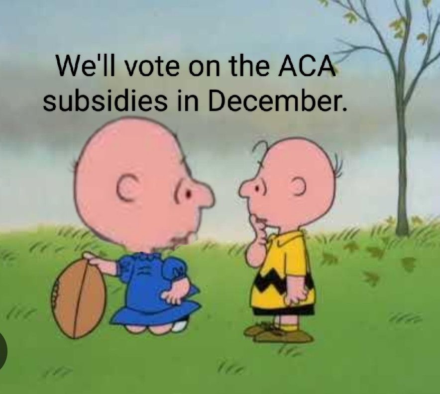 Charlie Brown, representing U.S. Democrats, with Lucy, representing U.S. Republicans, holding the football. It says "We'll vote on the ACA subsidies in December."

Here's the rub.

Lucy's head has been replaced with Charlie Brown's head. It could also be two Lucy heads. I just think it looks funny with two Charlies.

It's basically the Spiderman pointing at Spiderman meme but in Lucy/ChalieTfootball format.
