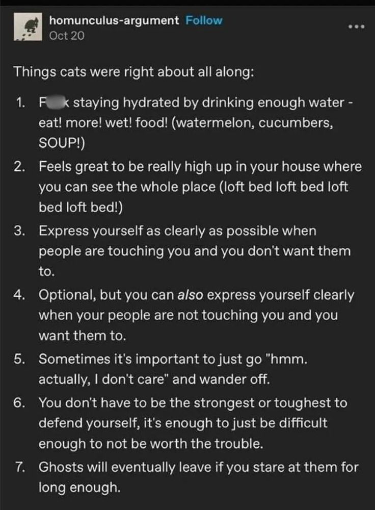 homunculus-argument, on Oct 20, posted:

Things cats were right about all along:

I. Fuckstaying hydrated by drinking enough water -
eat! more! wet! food! (watermelon, cucumbers,
SOUP!)

2.

Feels great to be really high up in your house where
you can see the whole place (loft bed loft bed loft
bed loft bed!)

3. Express yourself as clearly as possible when
people are touching you and you don't want them
to.

4. Optional, but you can also express yourself clearly
when your people are not touching you and you
want them to.

5.
Sometimes it's important to just go "hmm.
actually, I don't care" and wander off.

6.  You don't have to be the strongest or toughest to
defend yourself it's enough to just be difficult
enough to not be worth the trouble.

7. Ghosts will eventually leave if you stare at them for
long enough.


