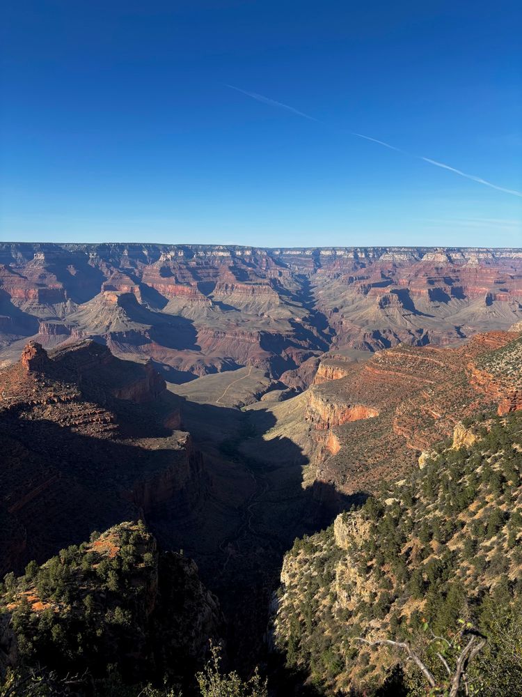 A panoramic view of the Grand Canyon from the rim, showcasing its vastness and intricate rock formations under a clear sky.