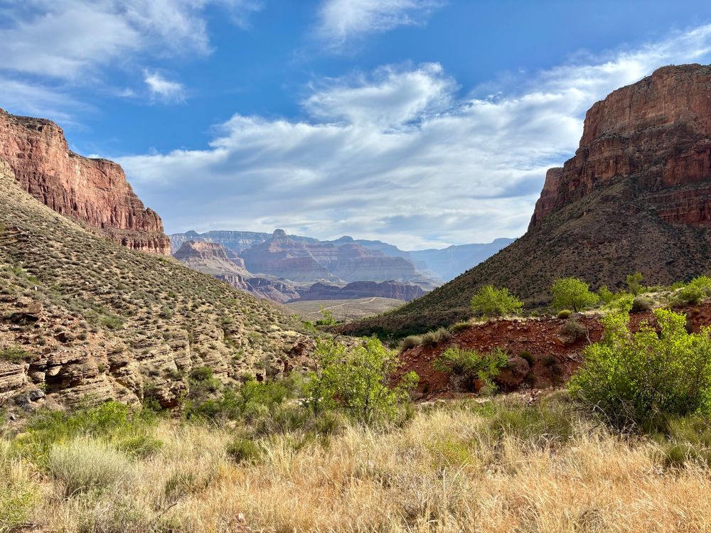 A scenic view of the Grand Canyon with rocky cliffs, sparse green vegetation, and a partly cloudy blue sky in the background.