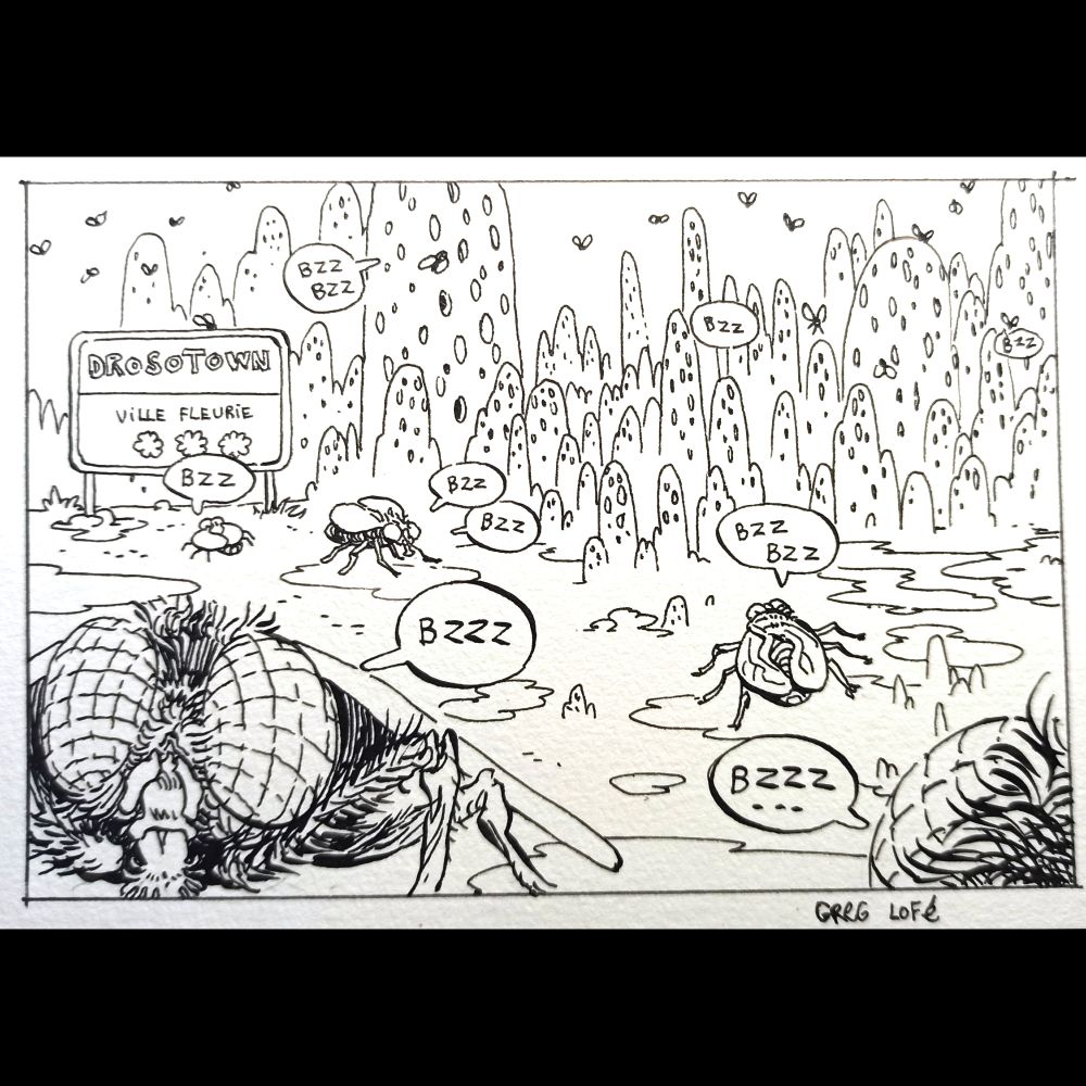 une ville de monticules de terre percés de trous, des mouches volettent un peu partout disant "bzzz" .
un panneau d'entrée de village marque "drosotown, ville fleurie"