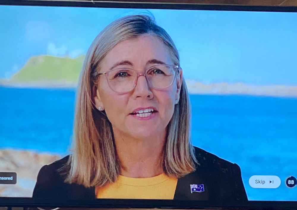 Pic of ignorant Trumpian Parrot Suellen Wrightson spouting Palmer’s odious, divisive crap on television ads