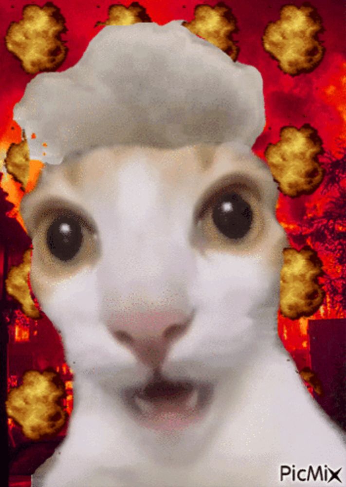 a picture of a cat with explosions in the background has picmix written below it