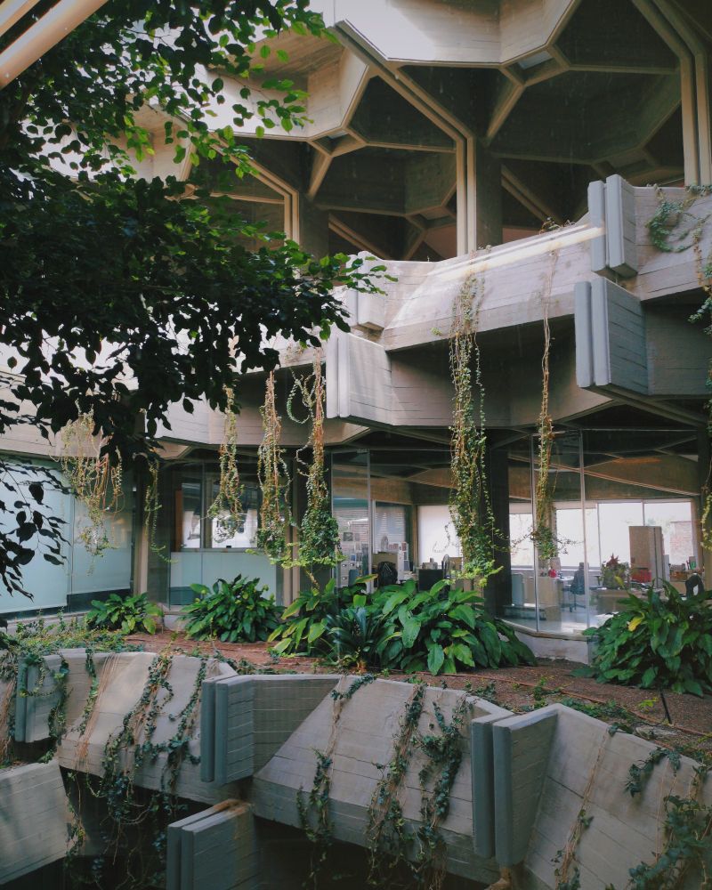 Estructura interior del IPCE (Instituto del Patrimonio Cultural de España). Fotografía de Alex Monge.