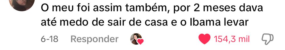 print de um comentário no tiktok: “o meu foi assim também, por 2 meses dava medo de sair de casa e o Ibama levarem”