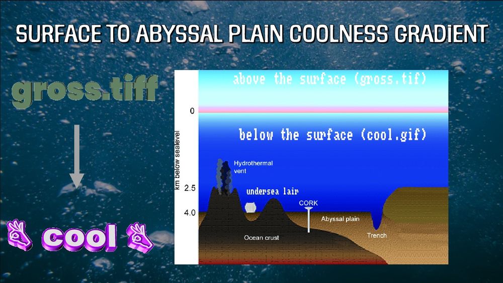 A powerpoint slide entitled "surface to abyssal plain coolness graident" with a diagram of the ocean showing how it's "cooler" on the bottom than at the surface, which is "gross"