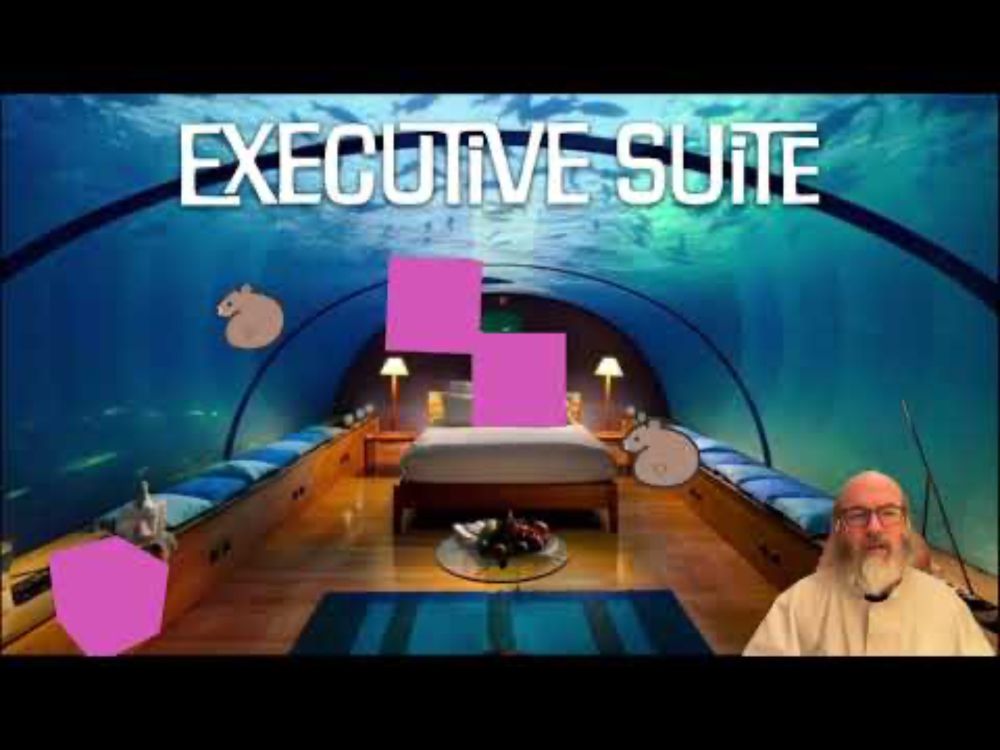 Executive Brain Wipe Program Debriefing with P-Chops 2024/11/25