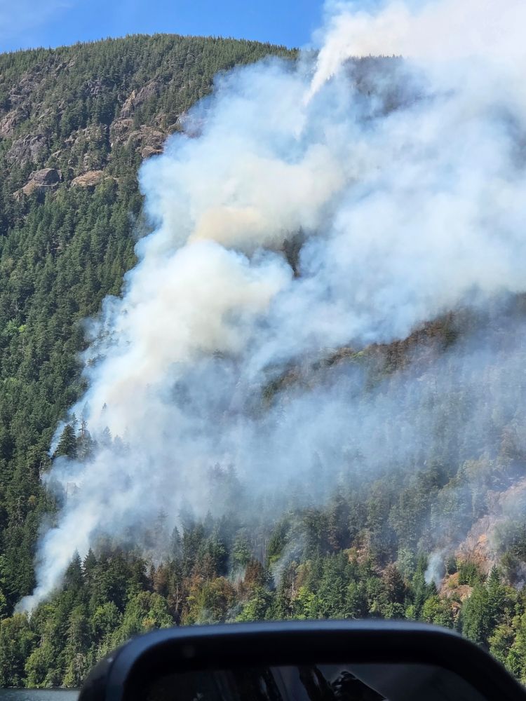 Forest fire burning with lake in foreground