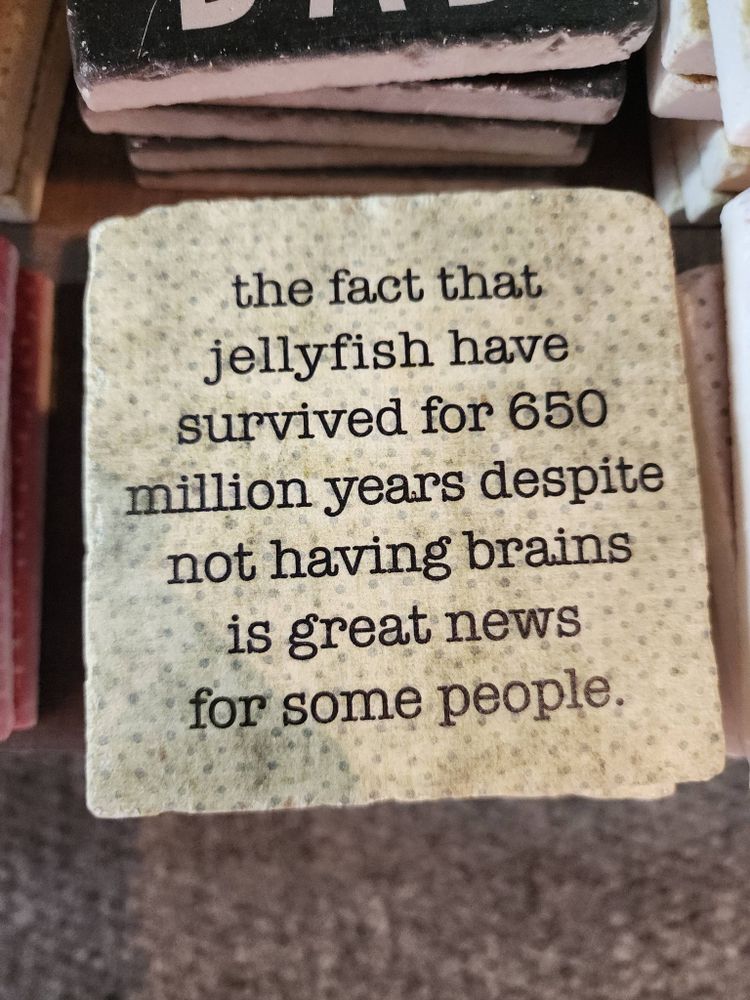 Stone tile with text on it that reads "the fact that jellyfish have survived for 650 million years despite not having brains is great news for some people".