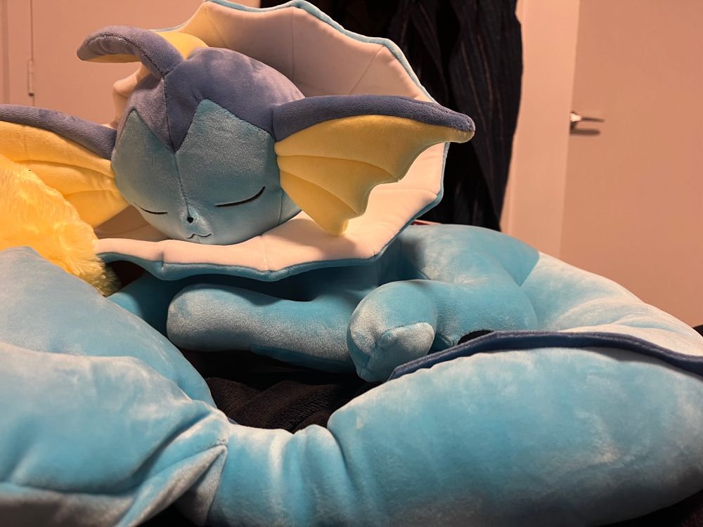 A vaporeon plushie! He is sleeping