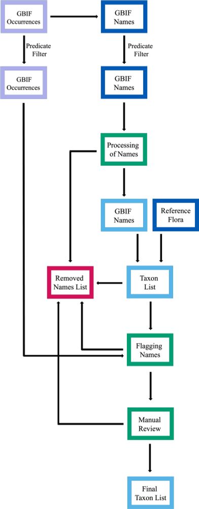 Diagrama de flujo simplificado del proceso utilizado para depurar una metacolección de registros de plantas vasculares de GBIF. Las ocurrencias de GBIF se descargaron aplicando filtros predicados (ocurrencias de Groenlandia, solo traqueófitos, solo registros no fósiles, incluyendo especímenes de herbario y observaciones humanas, y solo ocurrencias con archivos multimedia), y se extrajeron los nombres únicos de ocurrencias resultantes.