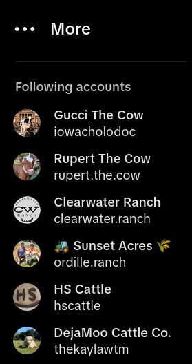 A screenshot of TikTok's "Following Accounts" list. The six accounts enlisted are, in some way, related to cattle/cows.
