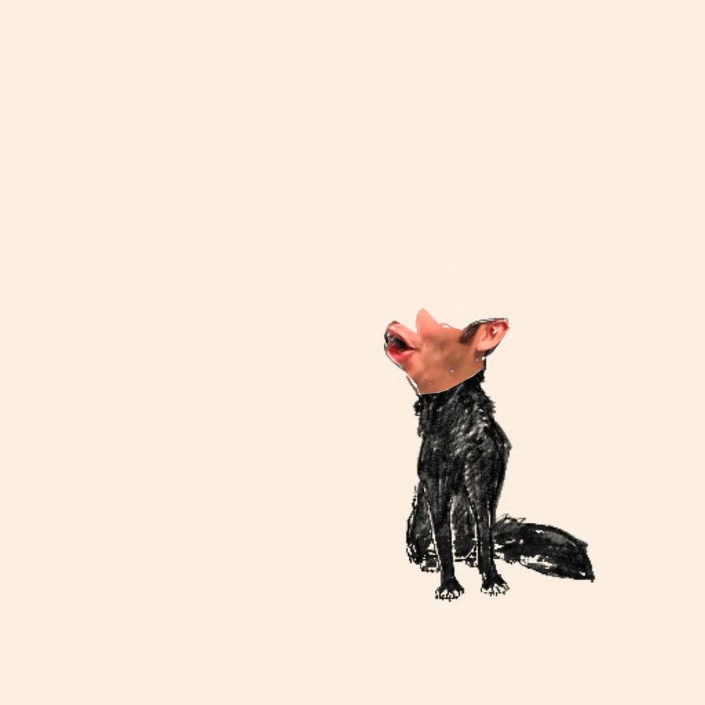 pogleg (dogleg pog)(pog face masked over dogleg album cover), december 20th 2020