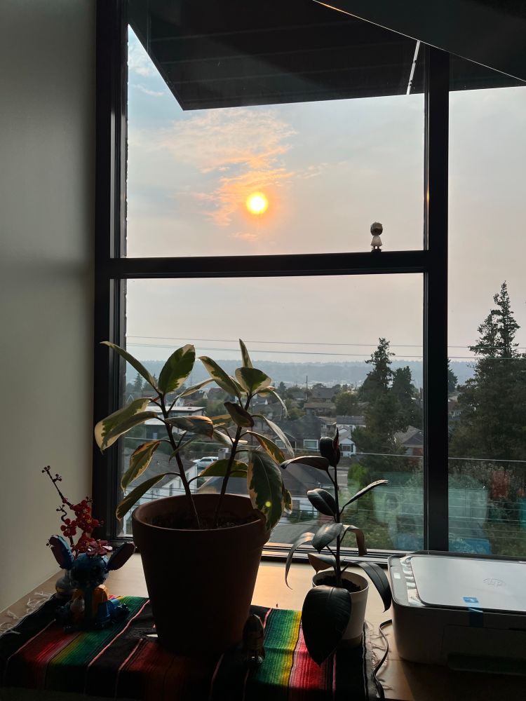 A potted plant sits next to a large window. Outside are some hills going down to the water and the Olympic Mountains are not visible due to smoke. The sun is maybe 30 degrees from sunset and is angry red orange.