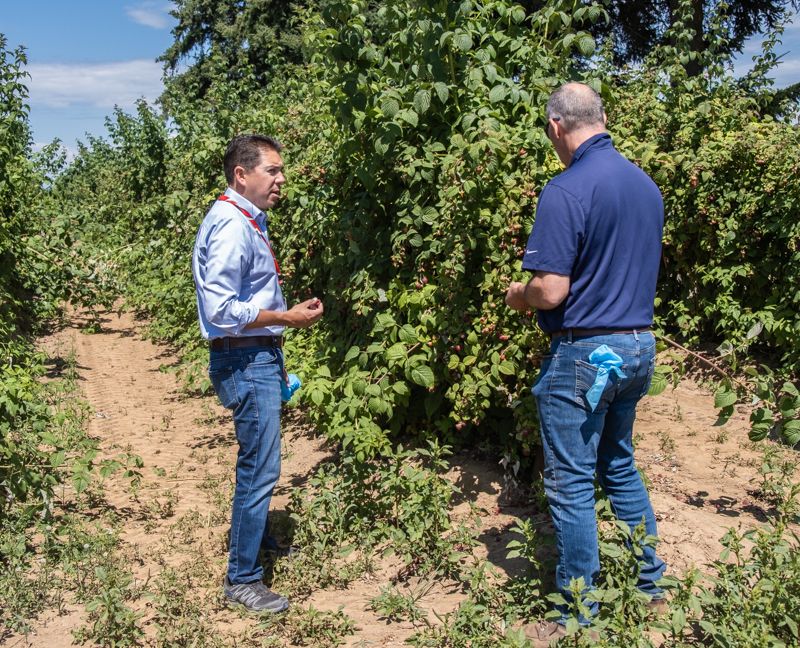 Director Sixkiller stands near raspberry bushes with Greg Ebe of Ebe Farms.