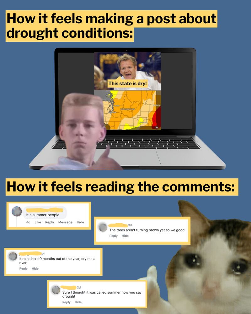 A person gives a confident thumbs up in front of a computer screen showing our latest drought social media post. In contrast, a cat cries, giving a mournful thumbs up while reading the comments that were posted in response to the original post.
