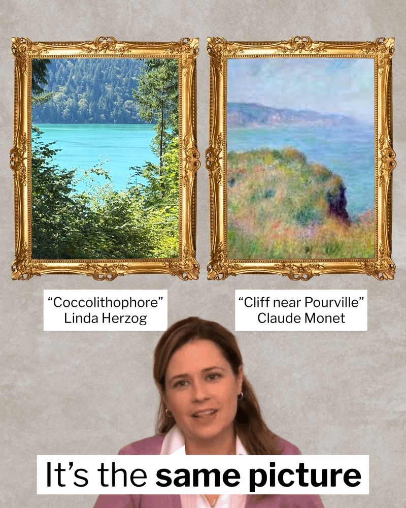 Two images are side-by-side in golden frames. The left is an image of a “Coccolithophore” taken by Linda Herzog. The right is “Cliff near Pourville” by Claude Monet. Pam from the Office sits beneath the images saying, “It’s the same picture.”