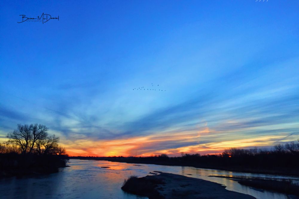 Orange and gold sunrise reflected in the Platte River west of Grand Island Nebraska. Sandhill Cranes in a V shaped flying formation in a beautiful blue sky with darker blue streaks of clouds reaching out from the sunrise. 