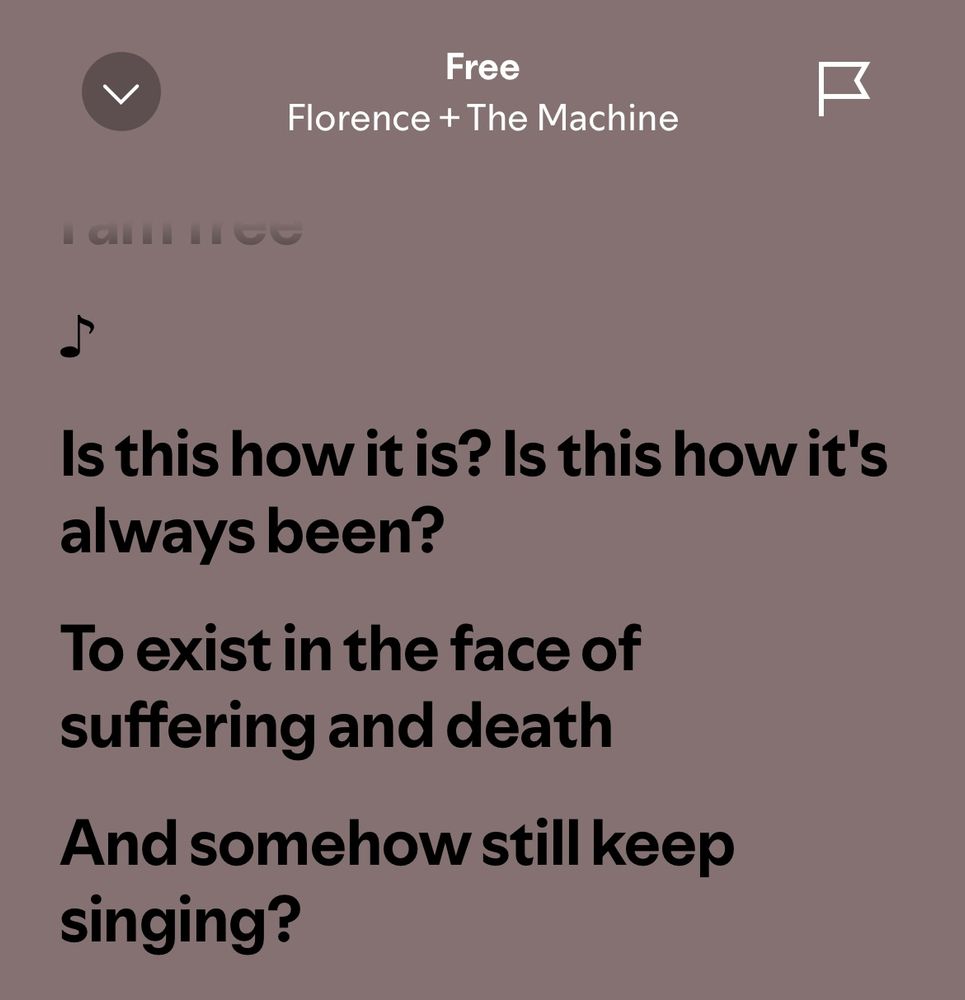 Spotify screenshot:

Is this how it is? Is this how it's always been?
To exist in the face of suffering and death
And somehow still keep singing?