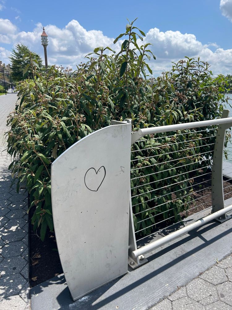 A heart, drawn in sharpie on a fence post.