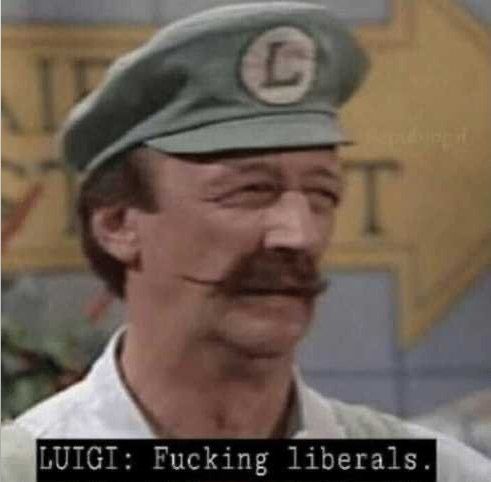 A disgusted-looking Luigi from the live-action Mario Brothers show, with the caption 'Fucking Liberals'.