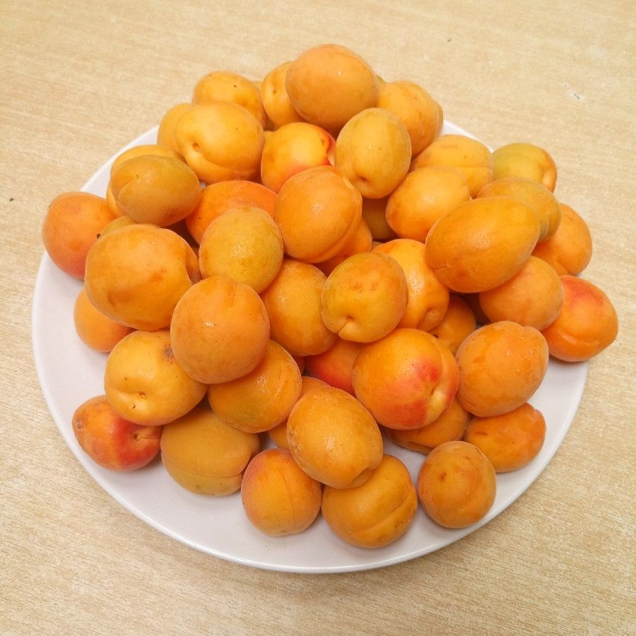 A plate of 'Moorpark' apricots on a wooden table top. 