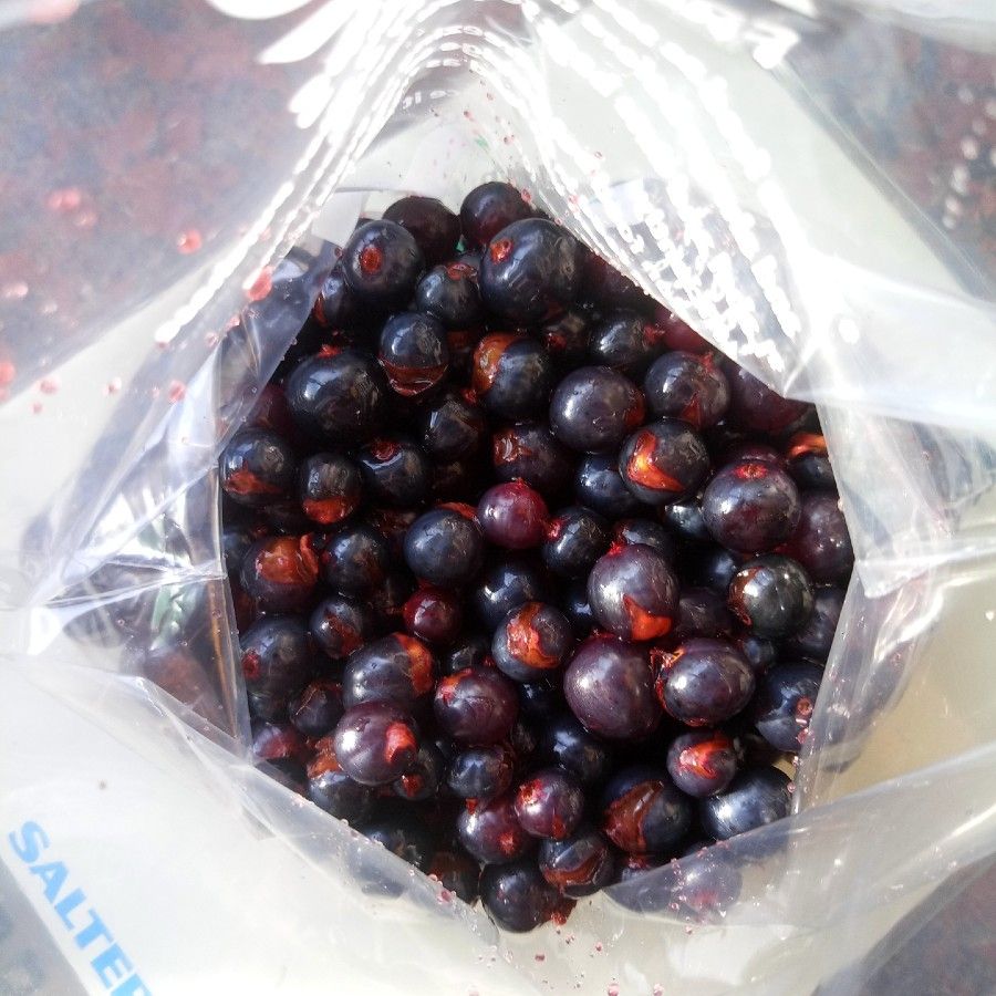 Bagged yellow currants, ready for the freezer