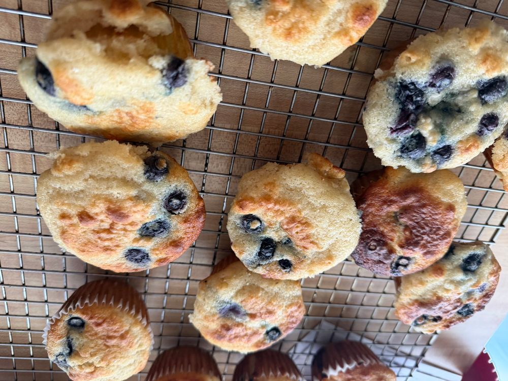 Blueberry Pancake Muffins 