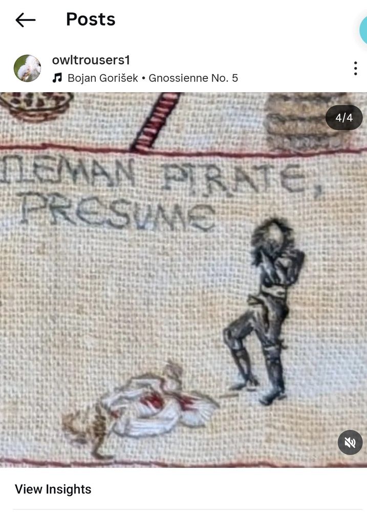 Picture on Instagram carousel post from Taika's birthday, with Ed from Series 1 episode 3 Our Flag Means Death embroidery #OFMD