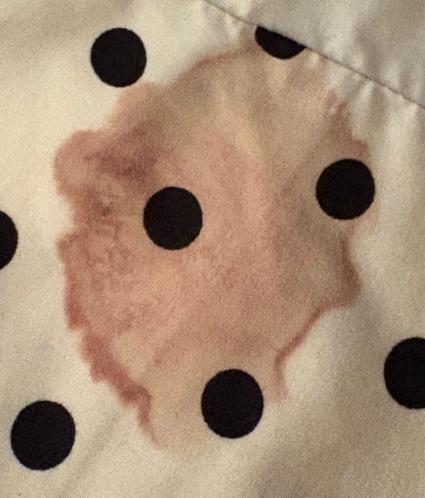 i’m SØ cute.
apparently i
vvas a drooly
bloody vvitch
last night and
novv i need to
analyze vvhat
y’all perceive it
as. 
send responses
telepathically, thx! 
✨ 