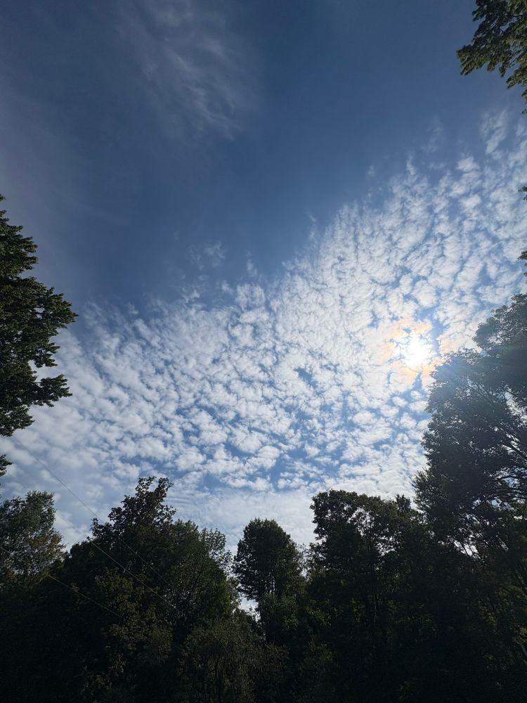 ..look to the clouds for anvvers..
