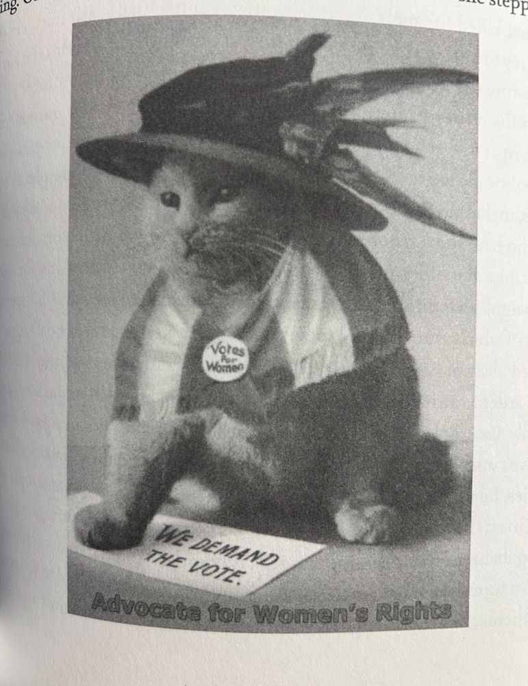A cat dressed as a Suffragette demanding votes