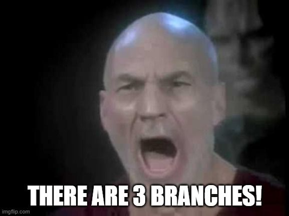 Captain Picard, from Star Trek: TNG, shouting "There are 3 branches!"