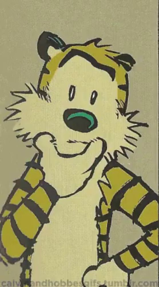 Calvin And Hobbes Funny Faces GIF