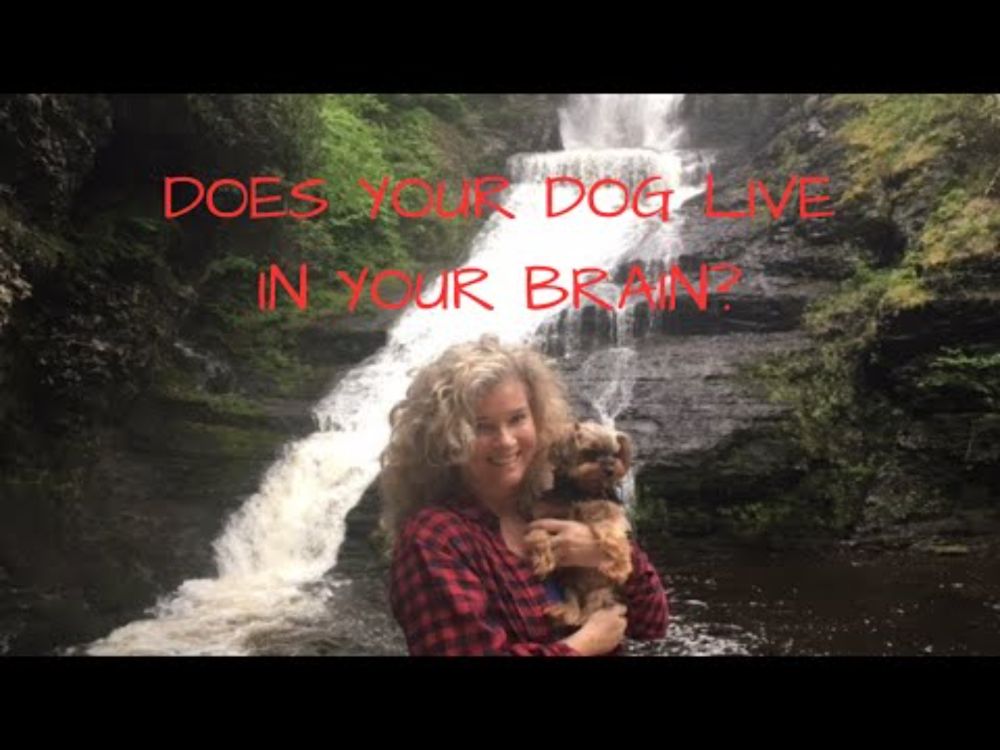 Chapter 3   Does Your Dog Live in Your Brain?