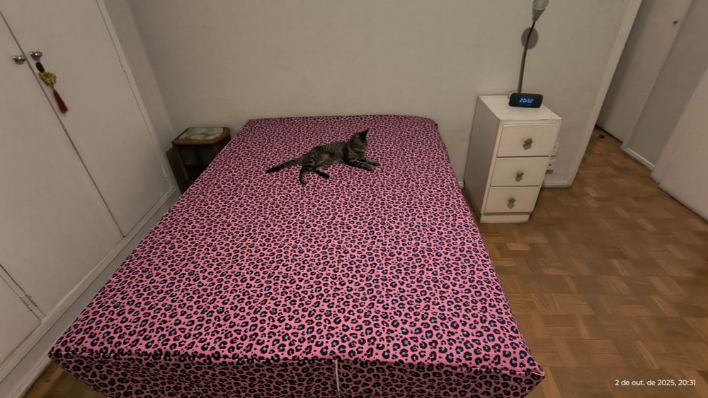foto feia colorida de um quarto com armário e uma mesinha de cabeceira brancas e uma cama coberta com uma estampa de oncinha rosa e azul. Em cima da cama uma gata com aparência de filhote. 