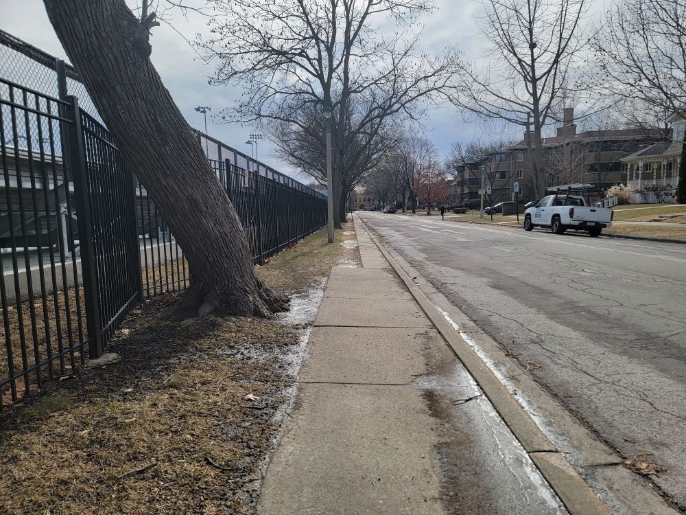 A sidewalk in Oak Park, IL. To the left, an iron fence and some trees. To the left, a neighborhood street. Straight ahead, 3/5 of the sidewalk just fucking disappears, width wise.