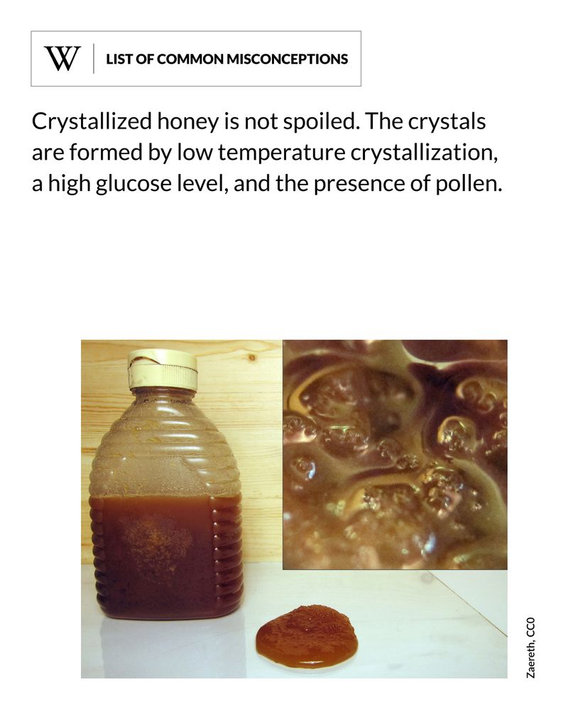 A plastic honey bottle containing separated and bubbly fermented honey, with a close-up view of the foamy texture and gas bubbles in the liquid. Text says: Crystallized honey is not spoiled. The crystals are formed by low temperature crystallization, a high glucose level, and the presence of pollen.