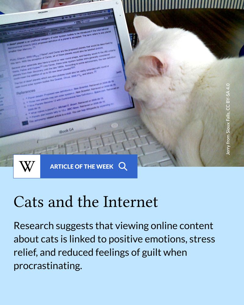 Article of the Week: Cats and the Internet. Research suggests that viewing online content about cats is linked to positive emotions, stress relief, and reduced feelings of guilt when procrastinating. Image depicts a white cat next to a laptop showing an older version of the Wikipedia article about dwarf planets.